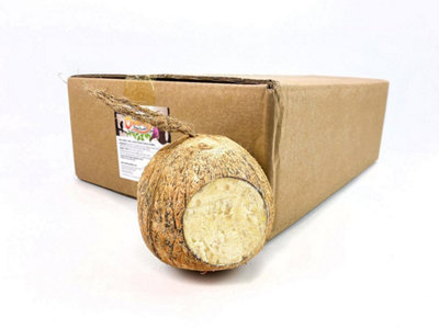 Chubby Pet Products 12 X Chubby Whole Filled Suet Coconuts Hanging Wild Bird Food from B&Q