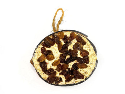Chubby Pet Products Chubby Half Filled CoconutRaisin Hanging Wild Bird Food from B&Q