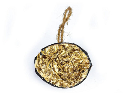 Chubby Pet Products Chubby Half Filled CoconutMealworm Hanging Wild Bird Food from B&Q