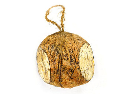 Chubby Pet Products Chubby Whole Suet Filled Coconuts Hanging Wild Bird Food from B&Q