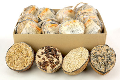 Chubby Suet Half Filled Coconuts MixBird Feeder Coconut Halves For Wild BirdsShell Food BlackbirdsWoodpeckersStarlings & from B&Q