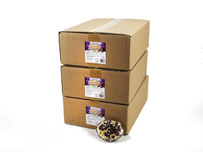 Chubby Pet Products 90 X Chubby Half Filled CoconutRaisin Hanging Wild Bird Food from B&Q