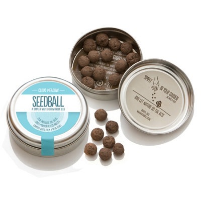Seedball Herb Mix 20 Balls/100 Seeds