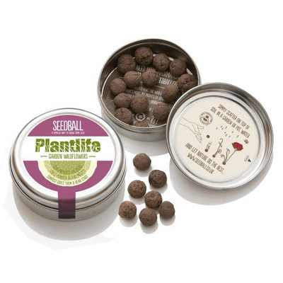 Seedball Plantlife Mix 20 Balls/30 Seeds from B&Q