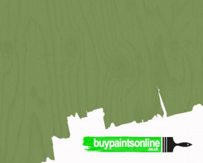 Sadolin SuperdecF0271MExplorer5L from B&Q