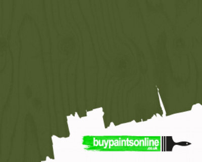 Sadolin Superdec Mid Green 5Lt from B&Q