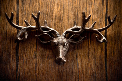 Vintage Cast Iron Stag's Head With 6 Deer Antler Hooks from B&Q