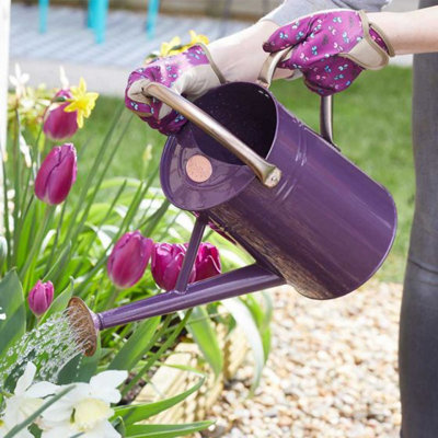 Marco Paul Violet Metal Watering Can from B&Q