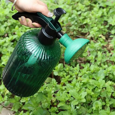 Marco Paul Steal Watering Can Rose from B&Q