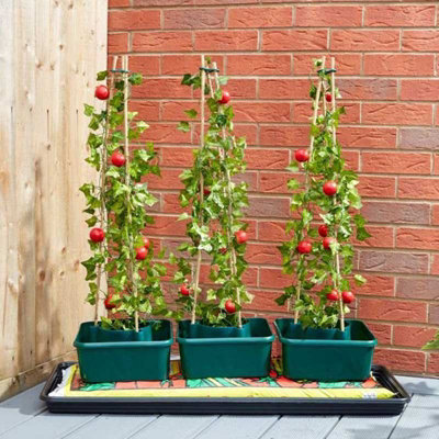Marco Paul Triple Pack Grow Boxes from B&Q