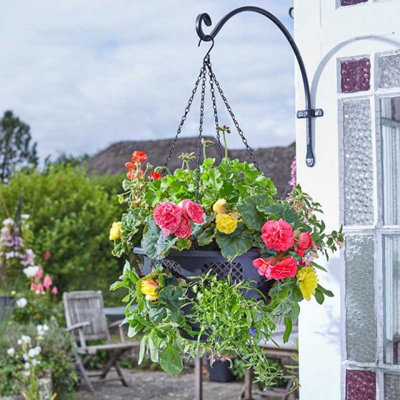 Marco Paul 15In Plastic Hanging Basket from B&Q
