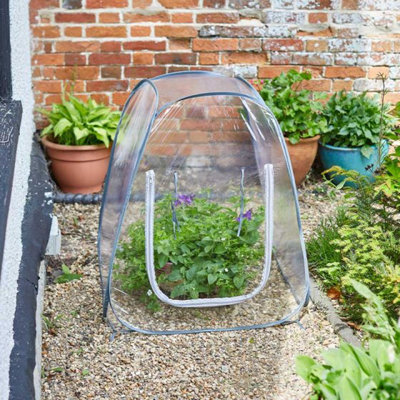 Marco Paul Clear Pop Up Growhouse from B&Q