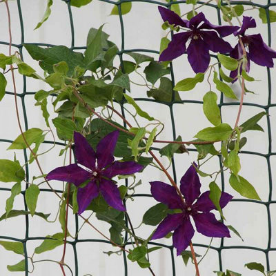 Marco Paul Climbing Plant Mesh from B&Q