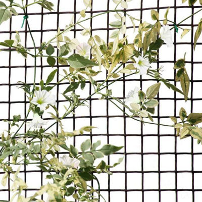 Marco Paul Garden Mesh Plant Support 1M from B&Q