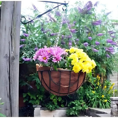 Marco Paul 2Pc Garden Hanging Flower Basket 12'' from B&Q