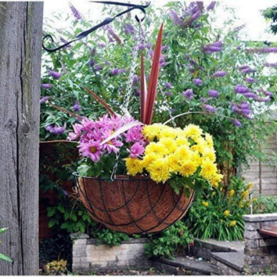 Marco Paul 10Pc  Hanging Flower Basket 16'' from B&Q