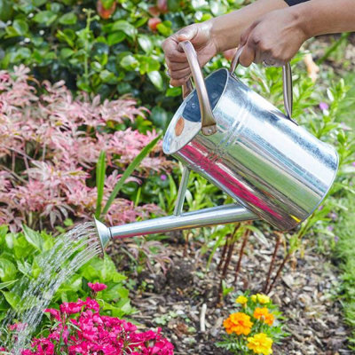 Marco Paul Silver Metal Watering Can from B&Q