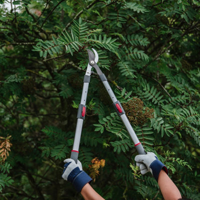 Digging soil with a garden fork