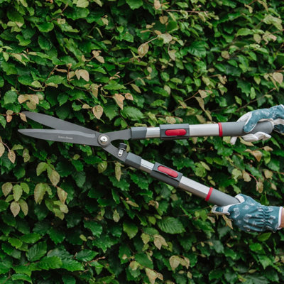 Shop shears