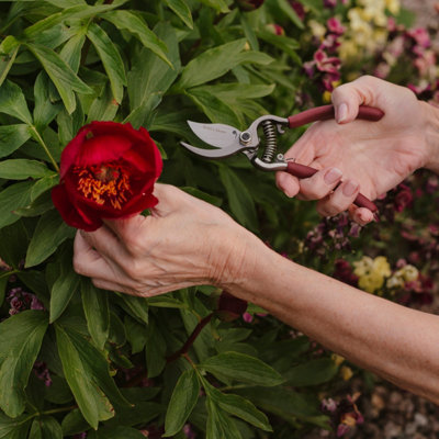 Shop Cutting & pruning