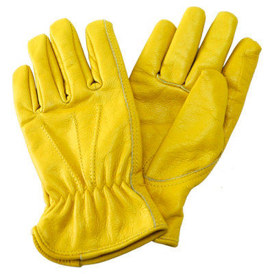 Kent & Stowe Luxury Leather Gloves Ladies Medium Golden/Yellow