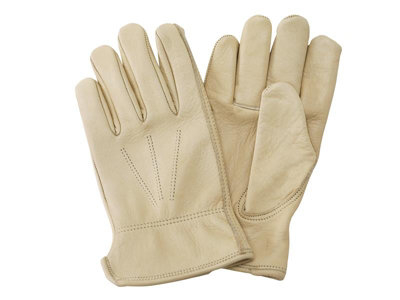 Kent & Stowe Cream 70105196 Luxury Leather Water Resistant Gloves - Men's Large