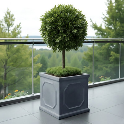 Idealist™ 45Cm Large Square Planter For TreesGrey Reinforced Stone Chelsea Box Garden PlanterFaux Lead Outdoor Plant Pot from B&Q