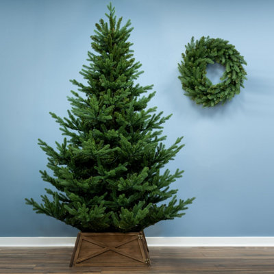 Christmas Tree World The 8Ft/240Cm Ultra Mountain Pine Christmas Tree from B&Q