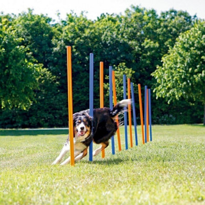 B&Q -  Pet Dog Agility Slalom Weave Poles Training Obstacle Course 12 Poles