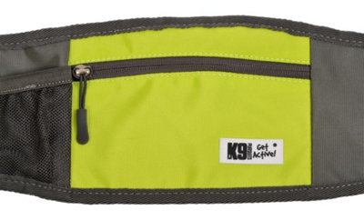 Puppy Pet Dog Obedience Training Treat Feed Food Snack Pouch Walking Belt Bags from B&Q