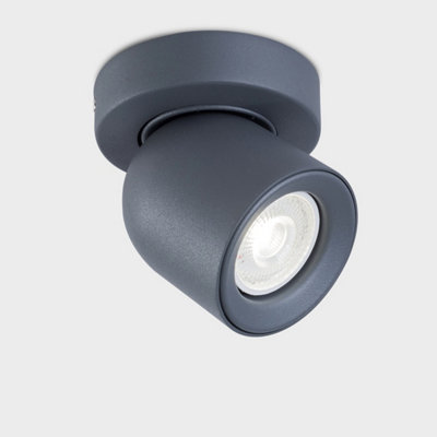 Harper Living Light/Grey Single Gu10 Spot