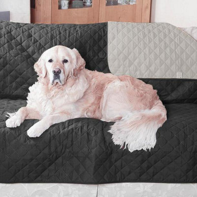 Easylife  Quilted Furniture Protector2 Seater SofaBlack from B&Q