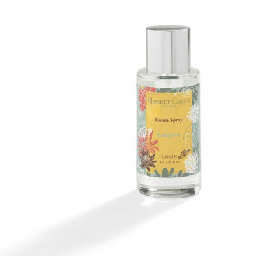 Hassett Green LondonEnlighten PatchouliRoom Mist Home Fragrance Spray100Ml Glass Bottle from B&Q