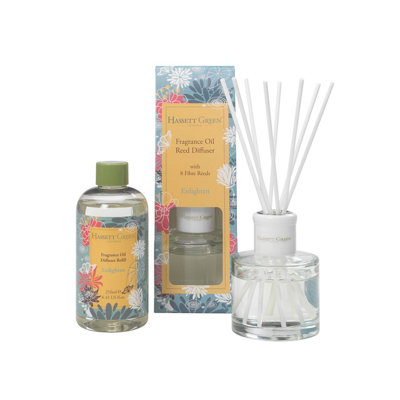 B&Q - Hassett Green LondonEnlighten Patchouli Reed Diffuser Set100Ml Diffuser + 250Ml Refill With Fibre Reeds
