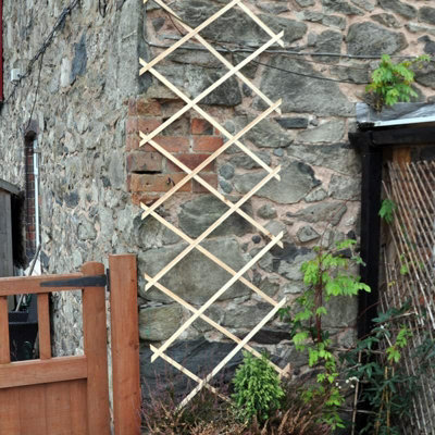 Marco Paul 1Ft X 6Ft Expanding Wooden Garden Trellis from B&Q