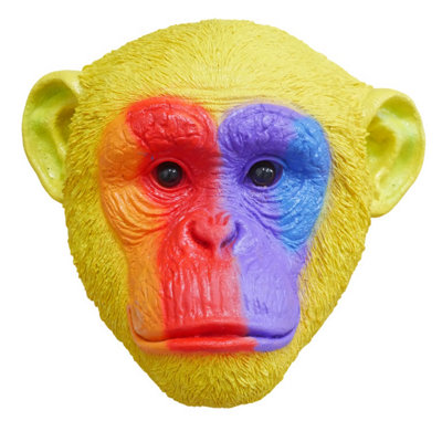 B&Q -  Rainbow Monkey Head Wall Ornament