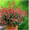 Found it product image.
