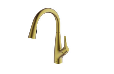 Clearwater Rosetta Kitchen Filter Tap Filtered Water & Cold & Hot Brushed Brass PvdRol10Bb from B&Q