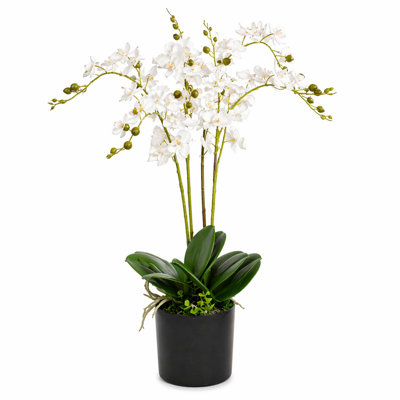 Leaf White Artificial Luxury Orchid - Triple Stem - Realistic Plant 60Cm