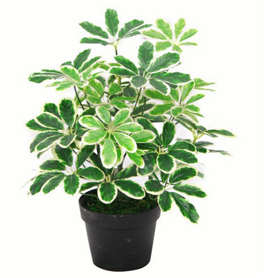 B&Q -  55Cm Variegated Plant Artificial Arboricola
