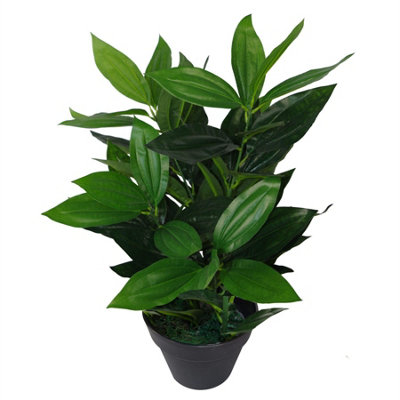 B&Q -  70Cm Large Bushy Artificial Evergreen House Plant - Image 8