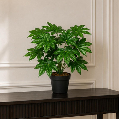 Leaf Design UK Realistic Artificial Foliage Plant with Pot, Aralia, 60cm - Image 7