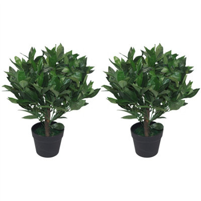 Leaf Pair Of 50Cm Dwarf Artificial Bay Trees Laurel Topiary Bushes from B&Q