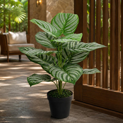 Leaf 60Cm Artificial Stripe Plant Green