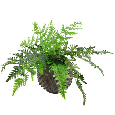 Leaf 50Cm Luxury Artificial Evergreen Fronded Fern Plant from B&Q