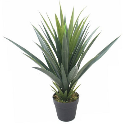 Leaf Unisex Green 60Cm Artificial Agave Succulent Yukka Style Plant - Image 10
