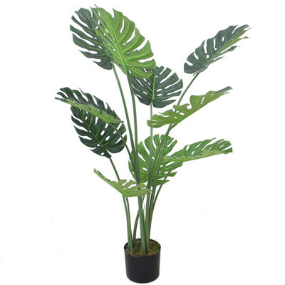 B&Q -  (4Ft) Luxury Monstera Plant Black Pot 120Cm