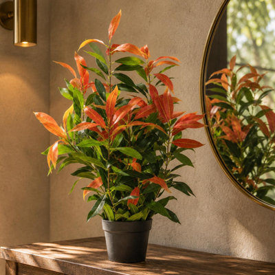 Leaf 80cm Artificial Ficus Plant Red - Realistic Ficus Tree with Red and Green Leaves - Plastic Plant - Image 10