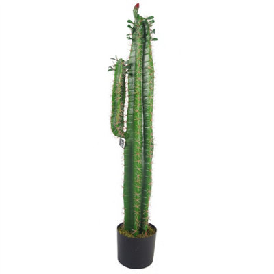 Leaf Artificial Cactus Cacti Plant Black Pot 110Cm Plants from B&Q