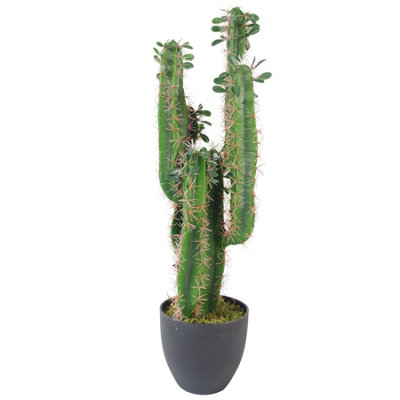 Leaf Artificial Cactus Cacti Plant Black Pot 65Cm Plants from B&Q